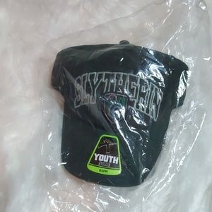 Slytherin BallCap